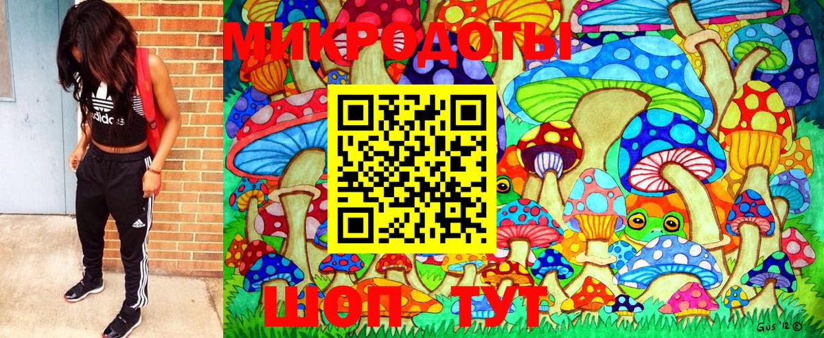 Белогорск  купить   Вход с VPN  Псилоцибиновые грибы GOLDEN TEACHER 